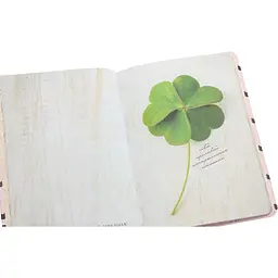 Дитяча книга Талант Альбом друзів Wish book 10 (978966935887510) - мініатюра 6