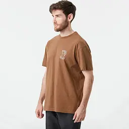 Футболка Picture Organic Terra S Коричневий