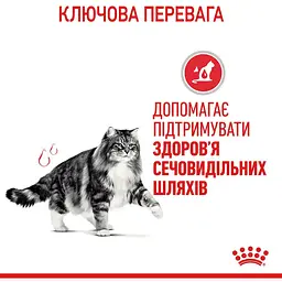 Сухий корм для котів Royal Canin Urinary Care профілактика сечокам'яної хвороби 10 кг (1800100) - мініатюра 4