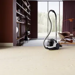 Пилосос Electrolux ECC21-2IW [80367] - мініатюра 6