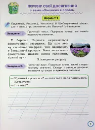 Твої досягнення. Українська мова. 3 клас. Тематичні діагностувальні роботи - мініатюра 9
