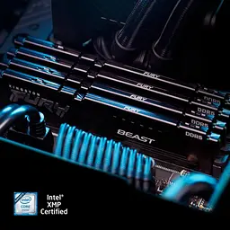 Модуль пам'яті DDR5 2x32GB/6000 Kingston Fury Beast Black (KF560C36BBEK2-64) - мініатюра 7