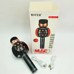 Бездротовий караоке мікрофон з динаміком 5 тембрів голосу USB AUX FM Wster WS-2911 чорний - мініатюра 7