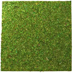 Фон з натурального моху Repti-Zoo Natural Moss Back & Bottom 45x45см 2 шт (NCM4545) для тераріуму - мініатюра 1