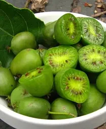 Саджанець Agro-Market Актинідія Сентябрська (міні-ківі, морозостійкий сорт, пізній термін дозрівання) (46128) 1 шт. в упаковці - мініатюра 4