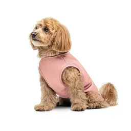Боротьба Kale Pet Fashion для собак XS2 рожева - мініатюра 3