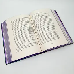 Галант - Вікторія Шваб | Nebo Booklab Publishing, книга українською, нова, тверда - мініатюра 4
