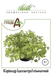 Насіння коріандру Кімнатний 2 г (Професійне насіння)