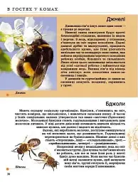 Комахи та інші - Тетяна Жабська - мініатюра 7