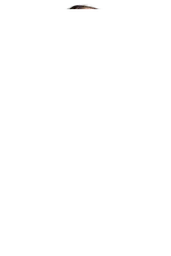 Бюстгальтер Daniella V.I.P.A. 1720 півонія 80B - мініатюра 2