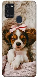 TPU чохол Demsky Sleepy spaniel для Samsung Galaxy A21s