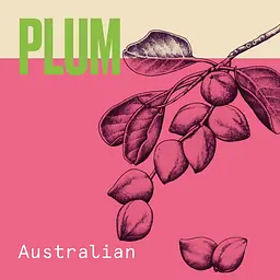 Засіб інтенсивного догляду Aussie Aussome Volume, 250 мл - мініатюра 3