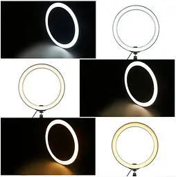 Кільцева світлодіодна лампа Puluz Rihg 26 см (Ring26В) - мініатюра 6