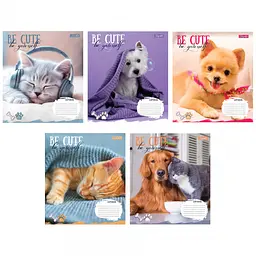 Зошити учнівські 18 аркушів лінія 1B Be cute, 25 шт. в упаковці