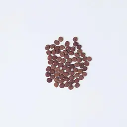 Сухий корм Carnilove True Fresh Cat для дорослих кішок, з рибою, 1,8 кг - мініатюра 8