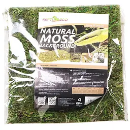 Фон з натурального моху Repti-Zoo Natural Moss Back & Bottom 20x20см 2 шт (NCM2020) для тераріуму - мініатюра 3