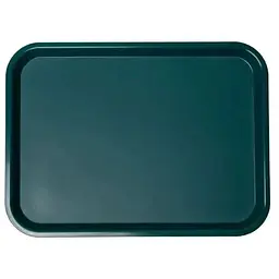 Таця FoREST 45,6 х 35,6 см Зелена (594183)