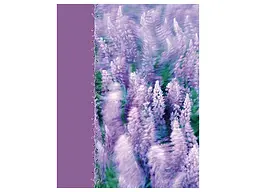 Фотоальбом UFO 10x15x200 PP-46200 Lavenders