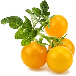 Змінний картридж Click & Grow Smart Garden Жовті томати, 3 капсули (9124) - мініатюра 3