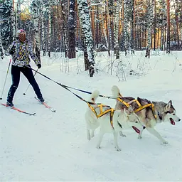 Тягова шлейка для собак V.PET.B.R H6 Red, 2XL Помаранчевий - мініатюра 4