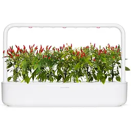 Змінний картридж Click & Grow Smart Garden Пірі-пірі чилі, 3 капсули (1401) - мініатюра 4