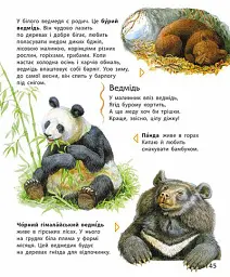 Енциклопедія дошкільника - Юлія Каспарова - мініатюра 4