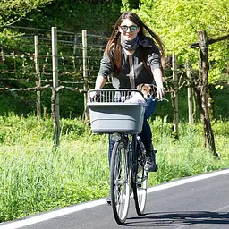 ATLAS BIKE 10 RAPID - мініатюра 10