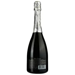 Вино ігристе SilverBreeze, 10-13,5%, 0,75 л (478732) - мініатюра 2