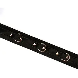 Нашийник з повідцем Liebe Seele Boudoir Amor Collar With Leash Black - мініатюра 4