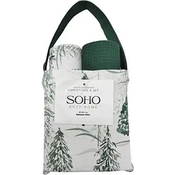 Набір рушників Soho 40x60см Christmas 2 шт pbe0050682