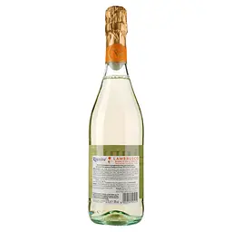 Упаковка ігристого вина Riunite Lambrusco Emilia IGT Bianco біле напівсухе 4.5 л (0.75 л х 6 шт.) - мініатюра 3