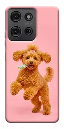 TPU чехол Demsky Happy poodle для Motorola Moto G75 5G