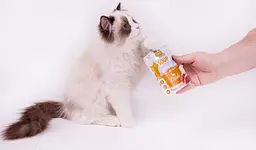 Вологий корм для котів Brit Care Soup з качкою 75 г - мініатюра 5