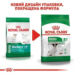 Сухий корм для собак віком від 8 до 12 років Royal Canin Mini Adult 8+, 800 г (30020089) - мініатюра 2