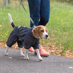 Комбінезон Pet Fashion Rain для собак сірий 5XL - мініатюра 4