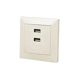 USB розетка REAL-EL Розетка USB (Comfort-60025-C)