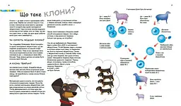 Книга Ранок Геніальні гени - Патрік А. Боерле (С1354001У) - мініатюра 4