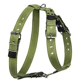 Шлея Collar Брезент для великих собак №3 бавовняна тасьма (ширина 35мм, А:72-94см, В:93-105см) - мініатюра 2