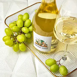 Вино ігристе Contos da Terra Brut біле брют 0.75 л 11.5% - мініатюра 4