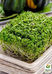 Насіння Agro-Market Мікрозелень Брокколі у банці 2.5 г (45205) - мініатюра 4