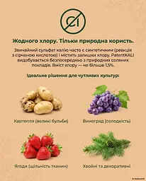 Природне калійно-магнієве гранульоване добриво Patent KALI (Патент Калій) 1 кг - мініатюра 6