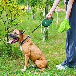 Повідець-рулетка для собак Waudog R-leash з контейнером для пакетів, світловідбивна стрічка, М до 20 кг, 5 м зелений - мініатюра 10