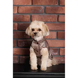 Жилет Pet Fashion Hardy для собак розмір L - мініатюра 9