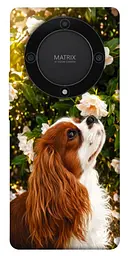 TPU чохол Demsky Flower spaniel для Huawei Magic5 Lite