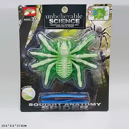 Надувна анатомічна модель павука Unbelievable Science (87239C)