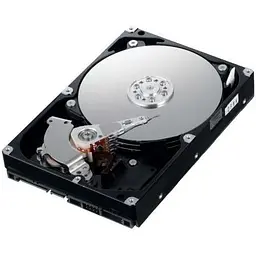 Жорсткий диск Western Digital AV-GP, SATA2, 16 Мб, 5400 об/хв 3.5" 500Gb (WD5000AVCS) (Refurbished)