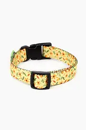 Нашийник ТМ HIDOG Flowers yellow, розмір L (ширина 25мм (35-45см)) (2100102288011A)(SN) shop (2100102288011) - мініатюра 2