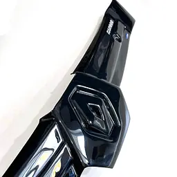 Зимова накладка на радіаторні грати Kangoo I 1998-2008 Глянець з логотипом (Voron Glass) WR10503 - мініатюра 3