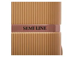 Валіза Semi Line 20 S Gold (T5667-2) - мініатюра 2