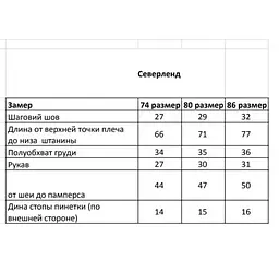 Дитячий зимовий термокомбінезон "Северленд" зріст 74 см Kid's Fantasy Чорний - мініатюра 4